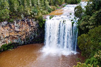 LS136 Dangar Falls, Dorrigo NSW